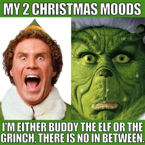 25 Hilarious Grinch Memes For When You Feel The Holiday Grump