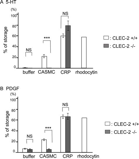 Coronary Artery Smooth Muscle Cells Casmcs Stimulated Release Of