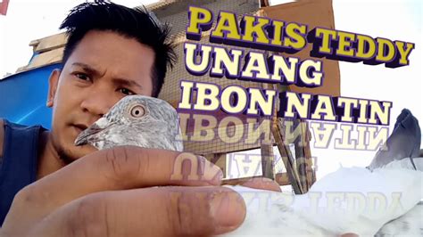 FIRST BIRD NATIN MAY LOFT VISITOR AGAD YouTube