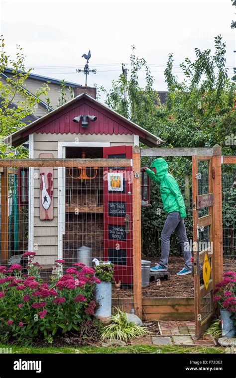From Small Homemade Structures To Large Elaborate Homes Chicken