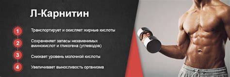 Жиросжигатели для мужчин и женщин: лучшие средства и их воздействие на ...