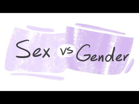 Understanding The Differences Between Sex And Gender YouTube