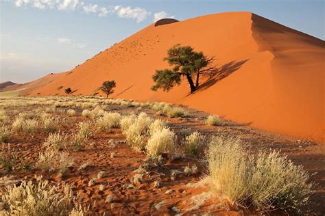 El Parque Nacional De Namib Naukluft Namibia