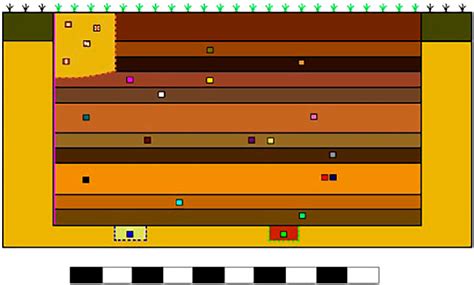 illustrates  position  evidence   grave