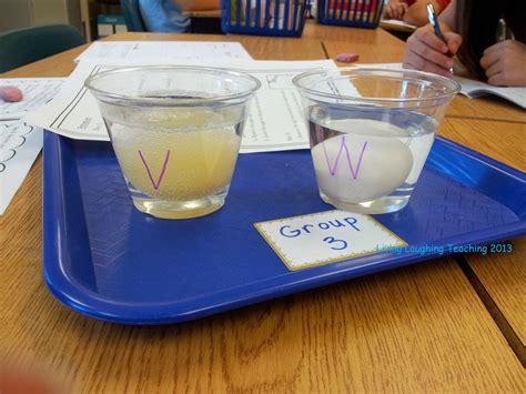 Living Laughing Teaching The Naked Egg Experiment