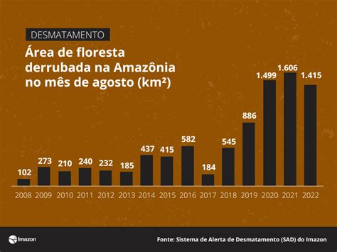 Desmatamento na Amazônia chega a quase 8 mil km² em 2022 pior