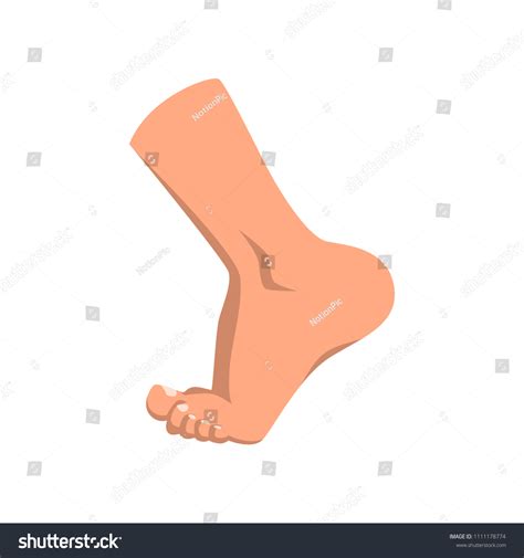 Male Foot Standing On Toe Vector Stock Vector Royalty Free 1111178774