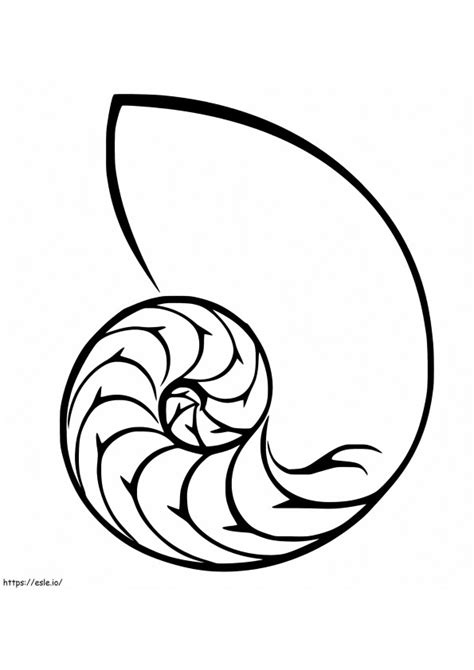 Free Shell Art Coloring Pages Free Printable Coloring Pages For Kids