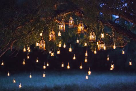 Outdoor tree lighting ideas: 11 ways to create a gorgeously glowing ...