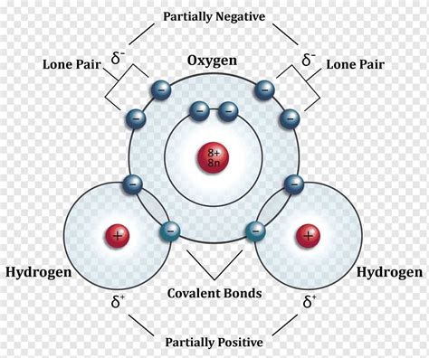 Visualizing The Hydrogen Molecule Structure Wiremystique