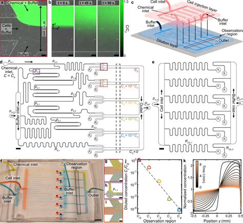 Multiplexed Microfluidic Screening Of Bacterial Chemotaxis Elife