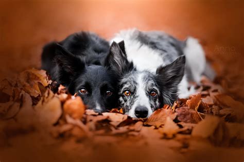 Zdjęcia Nagości Zakrytej Puck - Zdjęcia Znanych Fotografów z Puck 