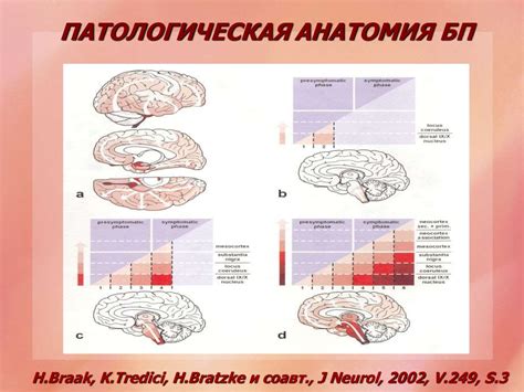 Когнитивные нарушения при неврологических заболеваниях - online ...