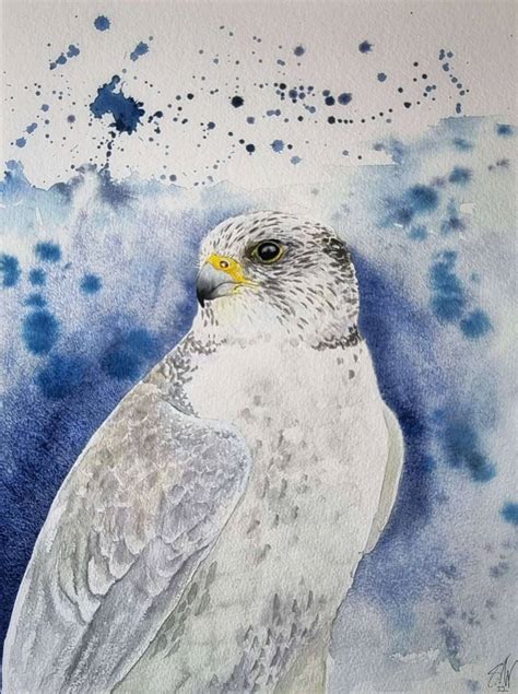 Der Weisse Falke Malerei Aquarell Von Greenwingsart