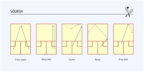 Premium Vector Schematic Of Basic Shots In Squash Scheme Of The