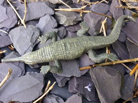 Gharial (Wild Animals by Papo) – Animal Toy Blog