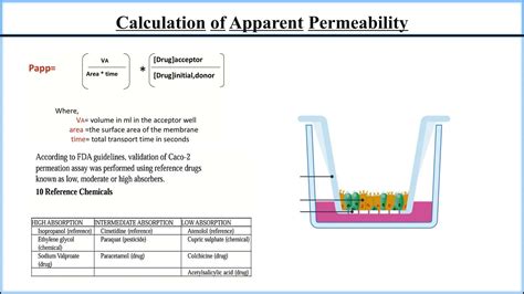 Cell Permeability Assays Caco Cell Permeability Pampa Membrane