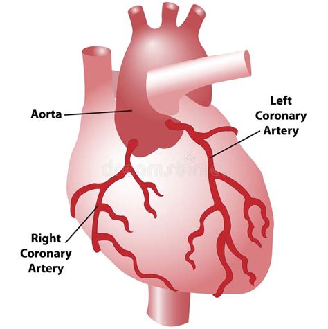 910 Scientific Diagram Free Stock Photos Stockfreeimages