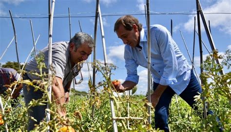 Garro visitó a productores de tomates antes del comienzo de la gran