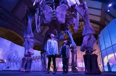 Titanosaur How To See Natural History Museum Dinosaur