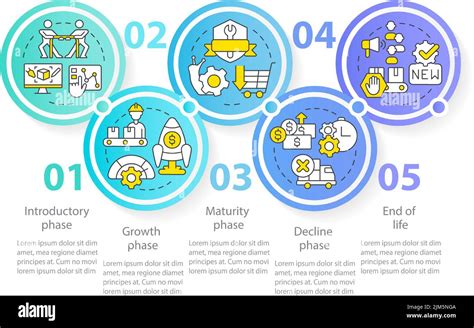 Stages Of Product Lifecycle Circle Infographic Template Stock Vector