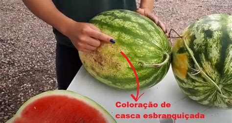 Como Saber Se A Melancia Está Madura