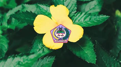 wwwunsratacid kkt  unsrat profil kelurahan girian weru dua