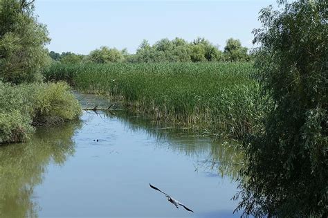 Румъния, Дунав, круиз по Дунав, Югоизточна Европа, делта, вода, делтата ...