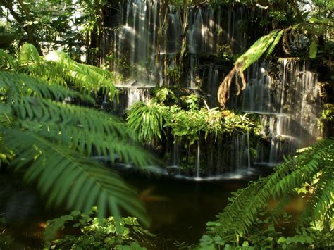 Jungle waterfall | Smithsonian Photo Contest | Smithsonian Magazine