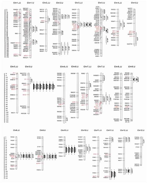 Genetic Linkage Map Showing Qtl Positions Detected In The Recombinant