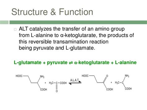 ALANINE TRANSAMINASE (ALT)