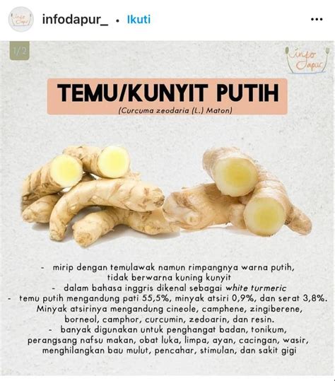 manfaat kunyit  kesehatan homecare