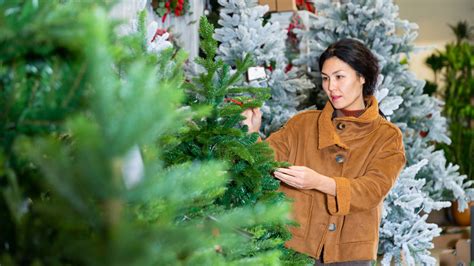 Home Depot Or Lowe's: Which Has The Best Deal On Christmas Trees?