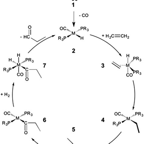 Mechanism For The Rh Catalyzed Hydroformylation Of An Olefin M Rh R