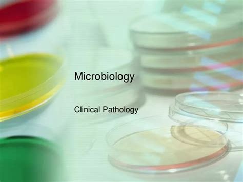 Microbiology Ppt Templates