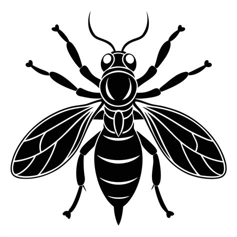 Gall Wasp Silhouette illustration with white background 54788411 Vector