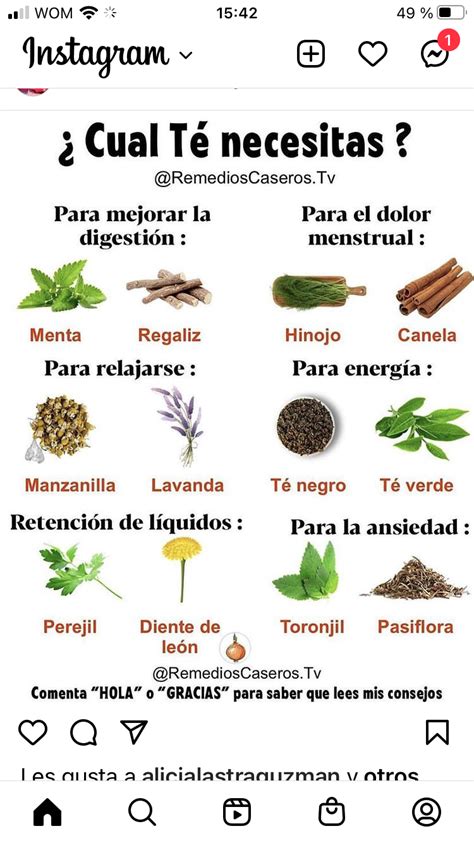 Manual Plantas Medicinales Artofit