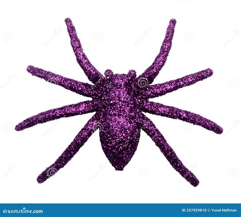 A Purple Spider With Long Legs And A Purple Spider Web Royalty Free