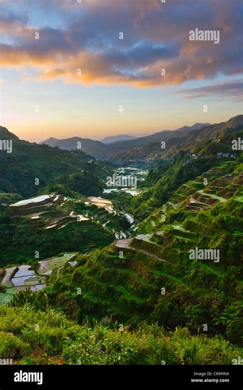 The Rice Terraces Of The Philippine Cordilleras Unesco World Heritage