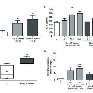 M Leprae Induces Secretion Of Chemokines And Expression Of HbD 2