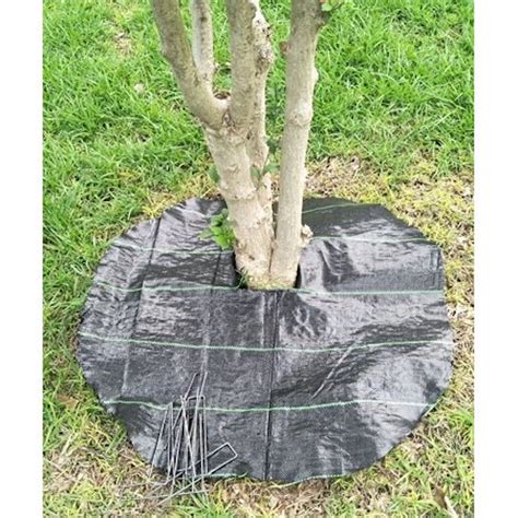 70gsm 90gsm 100gsm Heavy Duty Agriculture Garden Vegetable Anti Weed