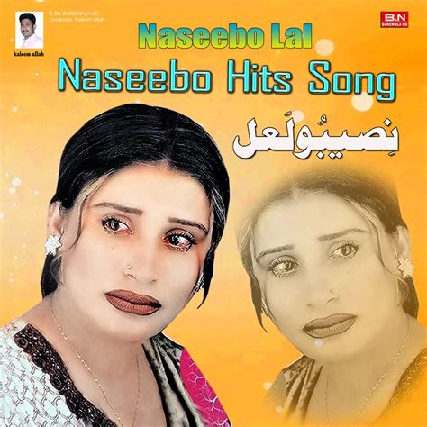 Naseebo Hits Song Album By Naseebo Lal Apple Music