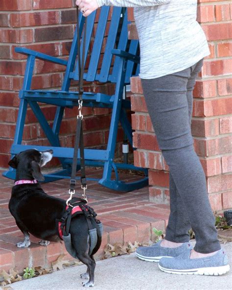Carelift Solvit Pet Age