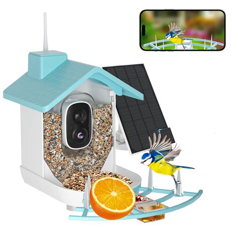 Smart Birds Feeder Type C – BirdsLover
