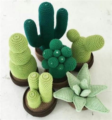 Hermosos Elementos Decorativos Para Tu Hogar Con Cactus Cactus A