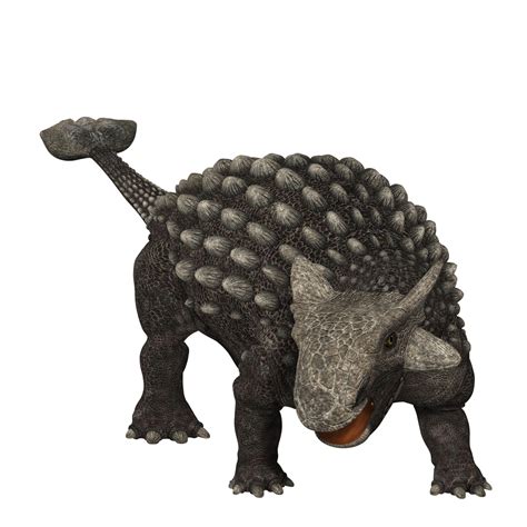 Ankylosaurus: Facts About the Armored Lizard | Live Science