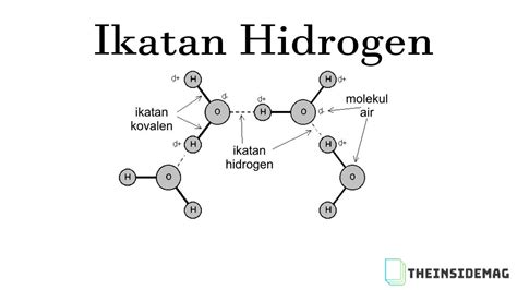 Detail Contoh Ikatan Hidrogen Koleksi Nomer 2