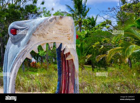 Novelty Shark Head Entrance Welcomes Visitors To Great Keppel Island