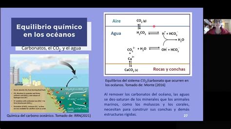 Equilíbrio Químico Nos Oceanos - Equilibrio químico en los océanos - YouTube