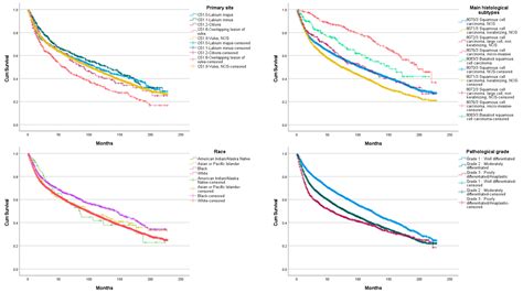 Vulva Cancer Cancerindex Emerging Issues In Vulvar Cancer Care And